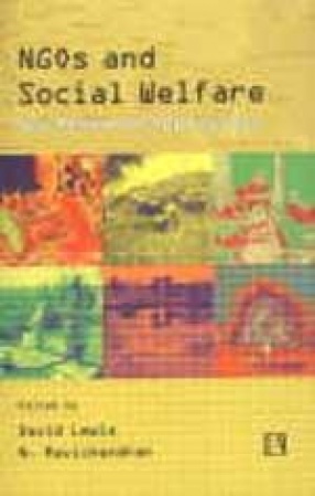 NGOs and Social Welfare: New Research Approaches