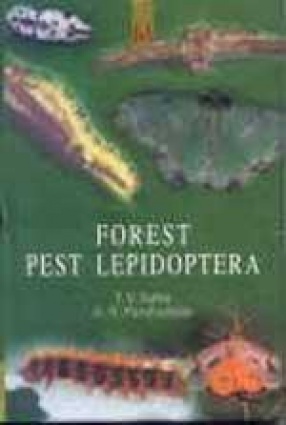 Forest Pest Lepidoptera