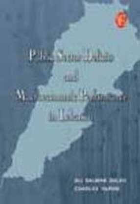 Public Sector Deficits and Macroeconomic Performance in Lebanon