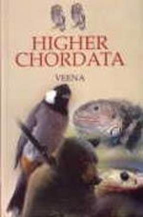 Higher Chordata