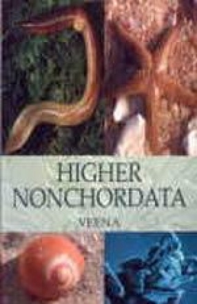 Higher Nonchordata