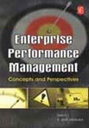Enterprise Performance Management: Concepts and Perspectives
