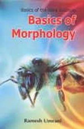 Basics of Morphology