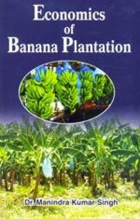 Economics of Banana Plantation
