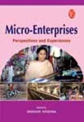 Micro-Enterprises: Perspectives and Experiences