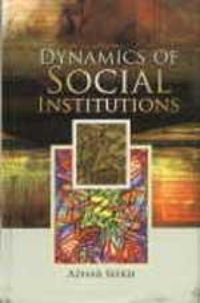 Dynamics of Social Institutions