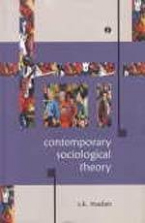 Contemporary Sociological Theory