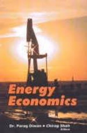 Energy Economics