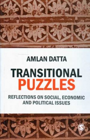Transitional Puzzles: Reflections on Social, Economic and Political Issues