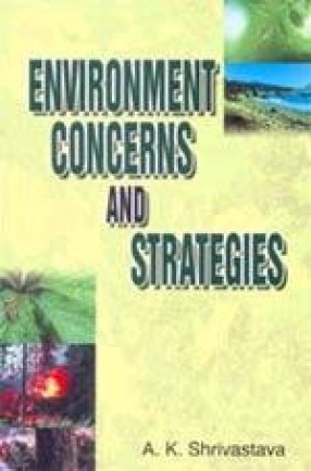 Environment Concerns and Strategies