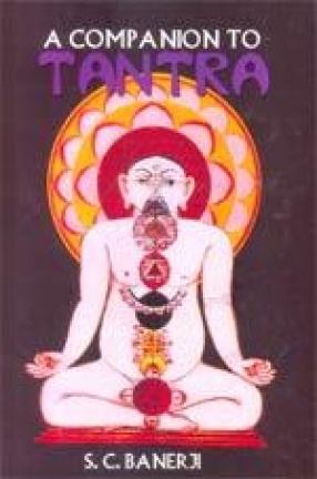 A Companion to Tantra