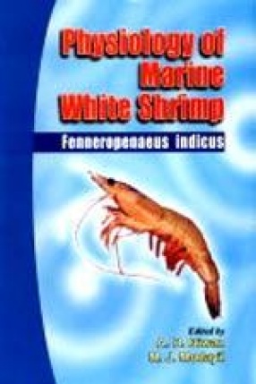 Physiology of Marine White Shrimp: Fenneropenaeus Indicus