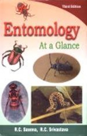 Entomology: At a Glance