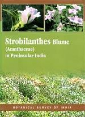 Strobilanthes Blume (Acanthaceae): In Peninsular India