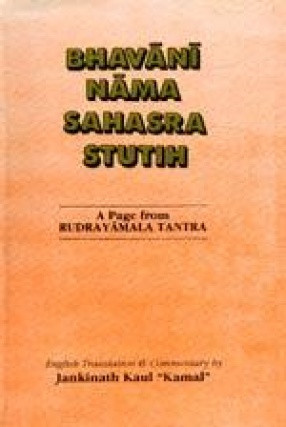 Bhavani Nama Sahasra Stutih (The Thousand Names of Bhavani): A Page from Rudrayamala Tantra