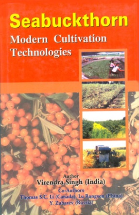 Seabuckthorn: Modern Cultivation Technologies