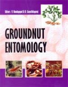 Groundnut Entomology
