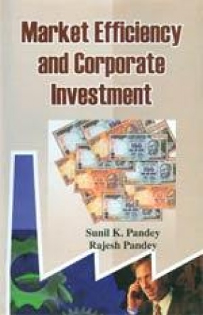 Market Efficiency and Corporate Investment