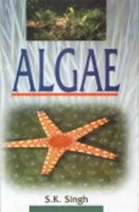 Algae