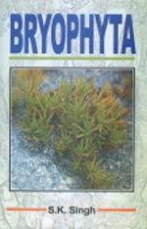 Bryophyta