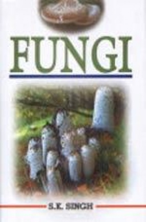 Fungi