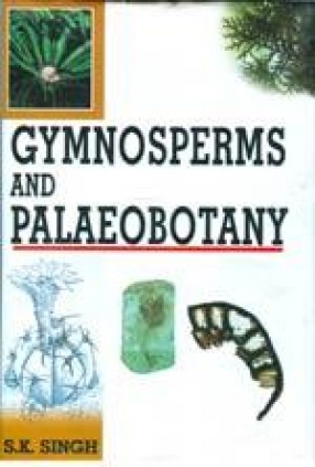 Gymnosperms and Palaeobotany