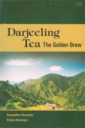 Darjeeling Tea: The Golden Brew