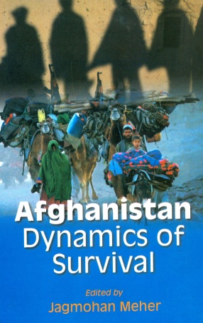 Afghanistan: Dynamics of Survival