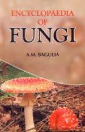 Encyclopaedia of Fungi (In 4 Volumes)
