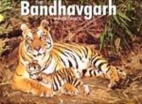 The Bandhavgarh Inheritance