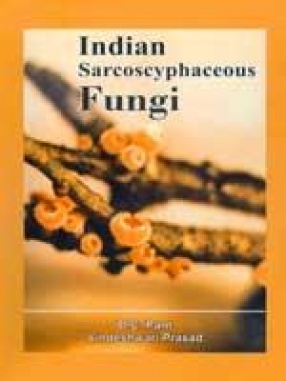 Indian Sarcoscyphaceous Fungi