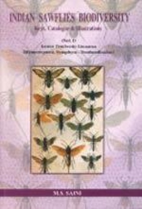 Indian Sawflies Biodiversity: Keys, Catalogue and Illustrations, Genus Tenthredo Linnaeus (Hymenoptera, Symphyta: Tenthredinidae), Volume 1