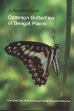 A Pictorial Guide: Common Butterflies of Bengal Plains
