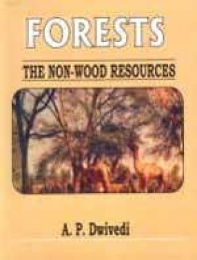 Forests: The Non-Wood Resources