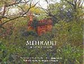 Mehrauli: A View from the Qutab
