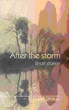 After the Storm: Short Stories