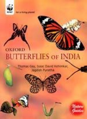 Butterflies of India