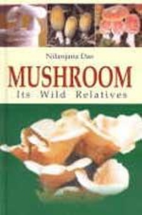 Mushroom: Its Wild Relatives