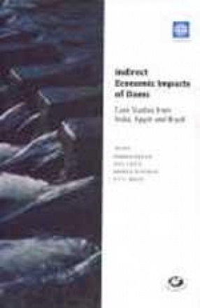 Indirect Economic Impacts of Dams: Case Studies from India, Egypt and Brazil