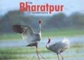 The Bharatpur Inheritance