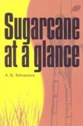 Sugarcane at a Glance