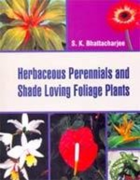 Herbaceous Perennials and Shade Loving Foliage Plants
