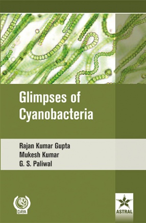 Glimpses of Cyanobacteria