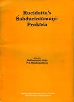 Rusidatta's Sabdacintamani Prakasa