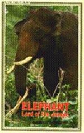 Elephant- Lord of the Jungle