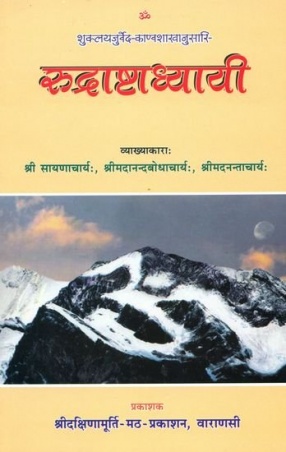 Rudra Ashtadhyayi