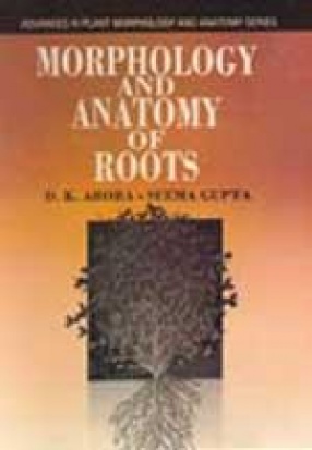 Morphology and Anatomy of Roots