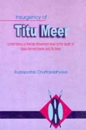 Insurgency of Titu Meer