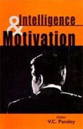 Intelligence and Motivation