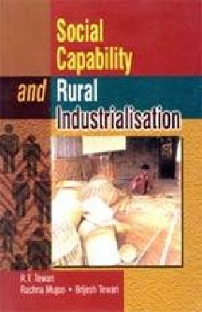 Social Capability and Rural Industrialisation